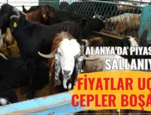 Alanya’da piyasalar sallanıyor! Fiyatlar uçtu, cepler boşaldı