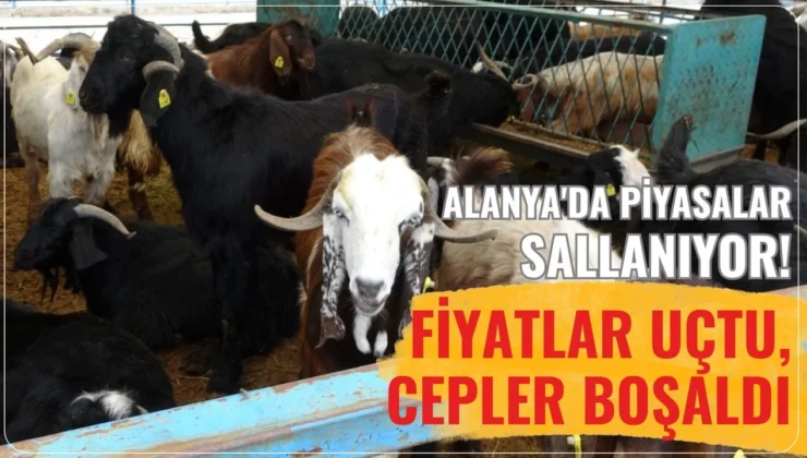 Alanya’da piyasalar sallanıyor! Fiyatlar uçtu, cepler boşaldı